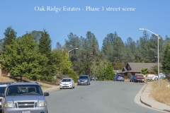 Oakridge street scene