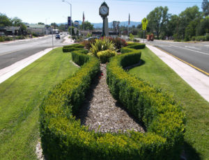 shasta-lake-city-median